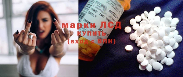 сатива Зеленокумск