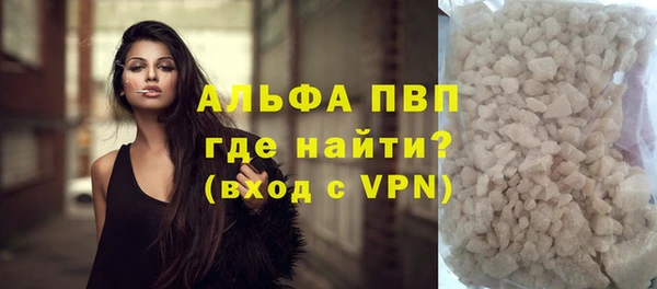 сатива Зеленокумск